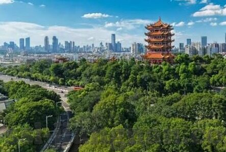 欧洲足球实时比分-欧洲足球实时比分，连接绿茵激情的数字纽带